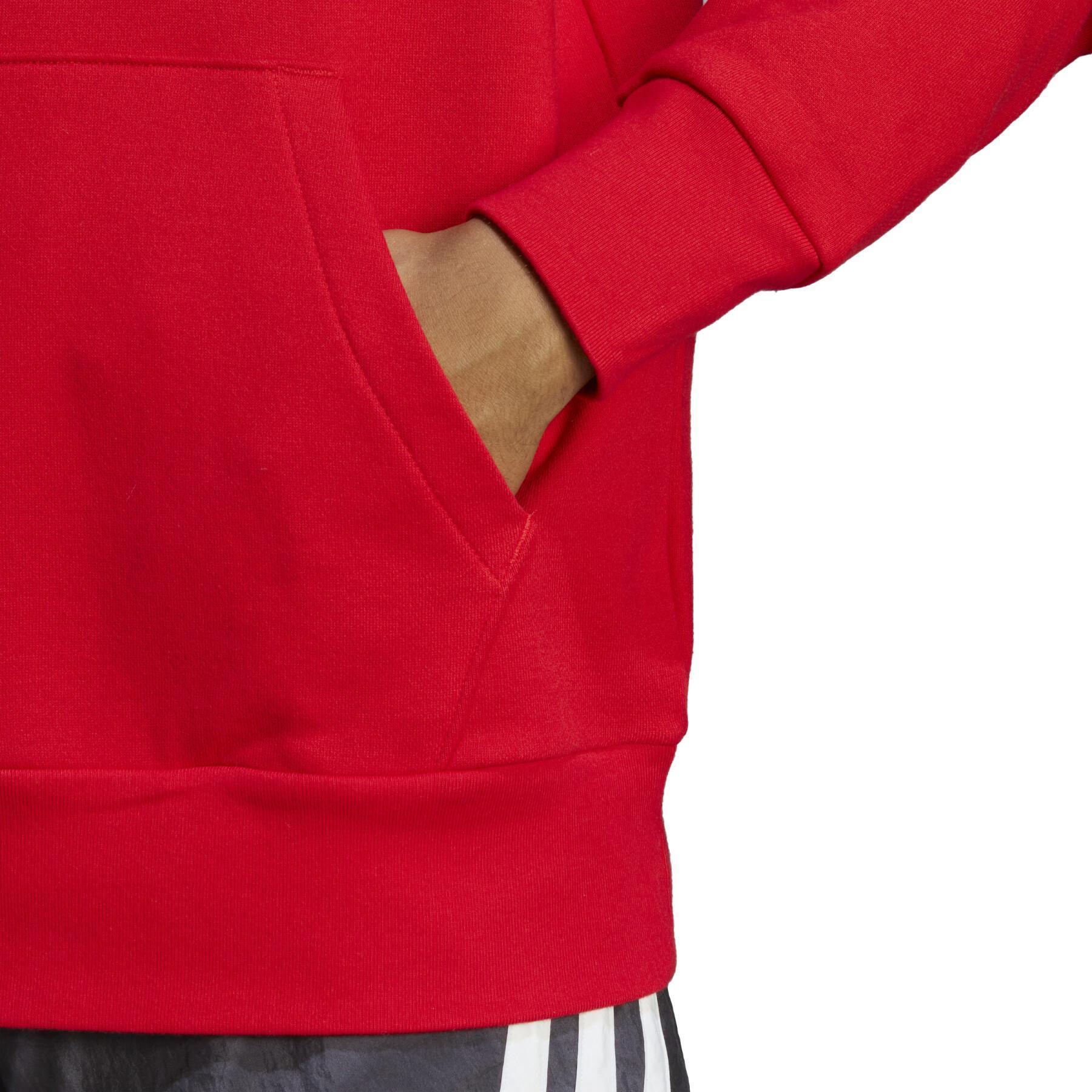 Sudadera con capucha adidas Essentials French Terry Big Logo