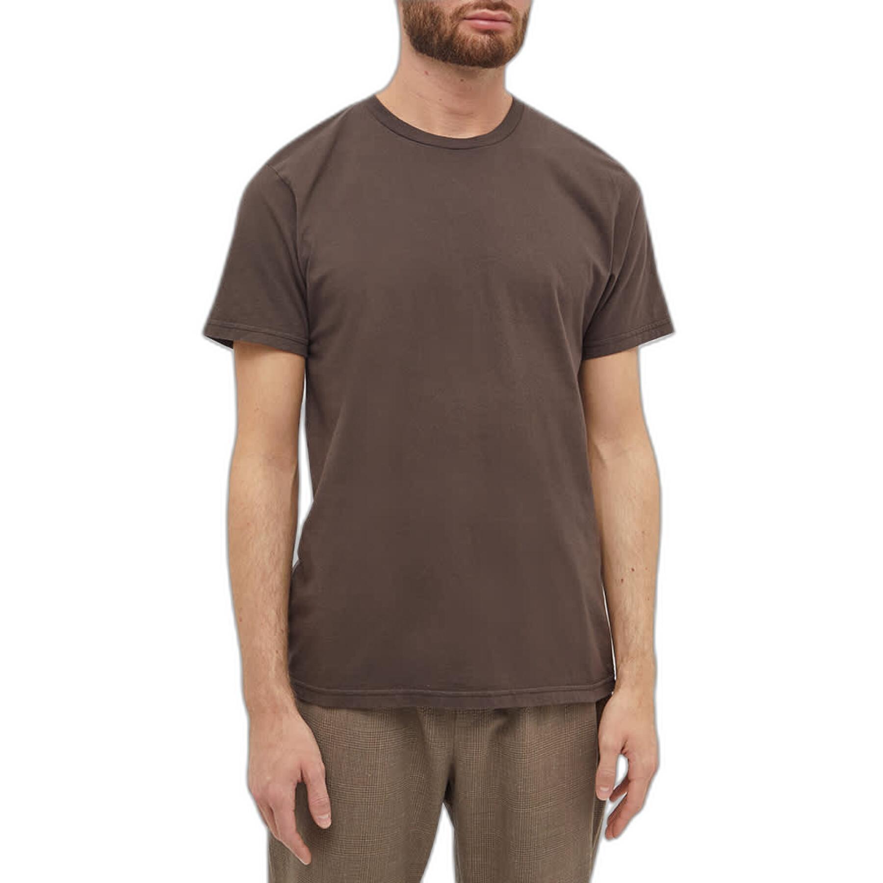 Camiseta Colorful Standard Cinnamon Brown