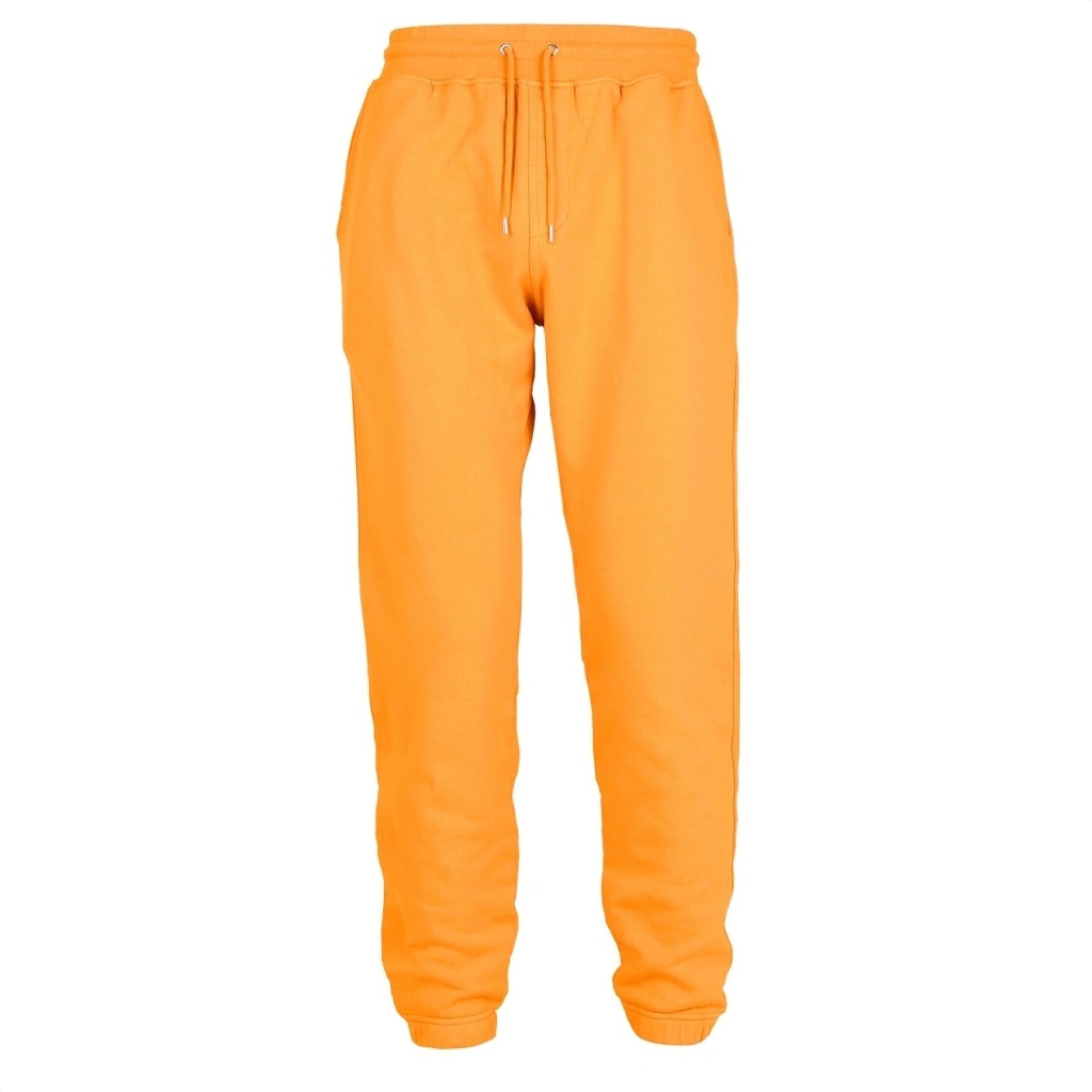 Pantalón de jogging Colorful Standard naranja