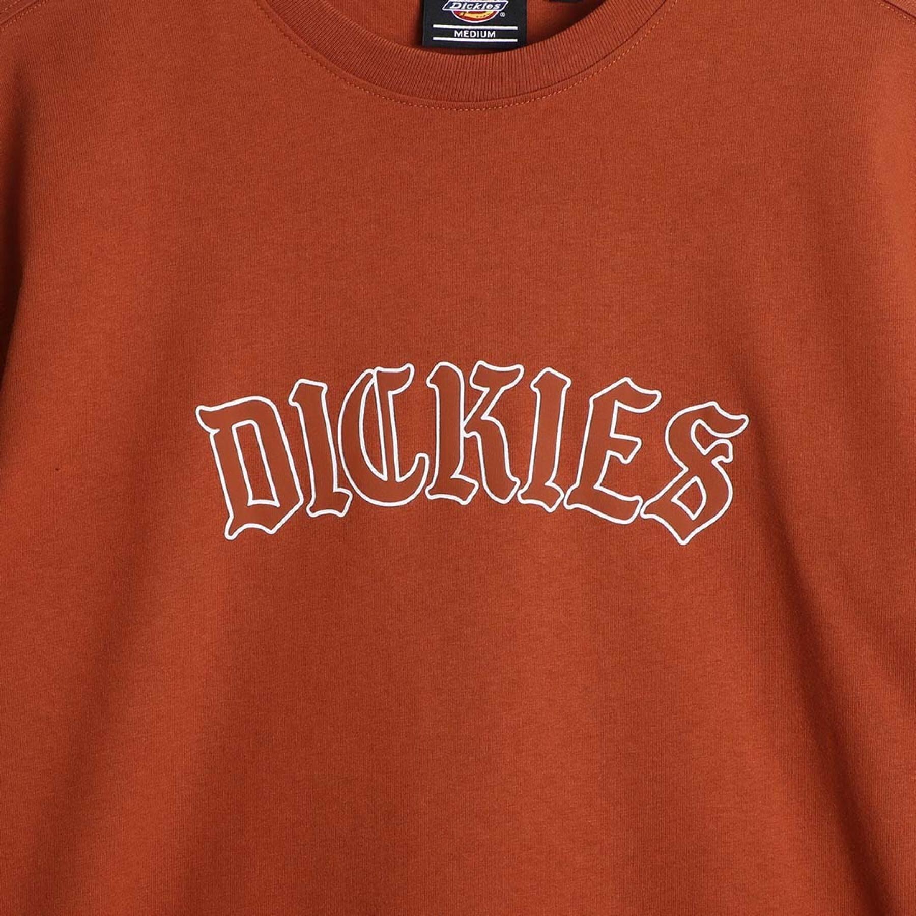 Camiseta Dickies Union Springs