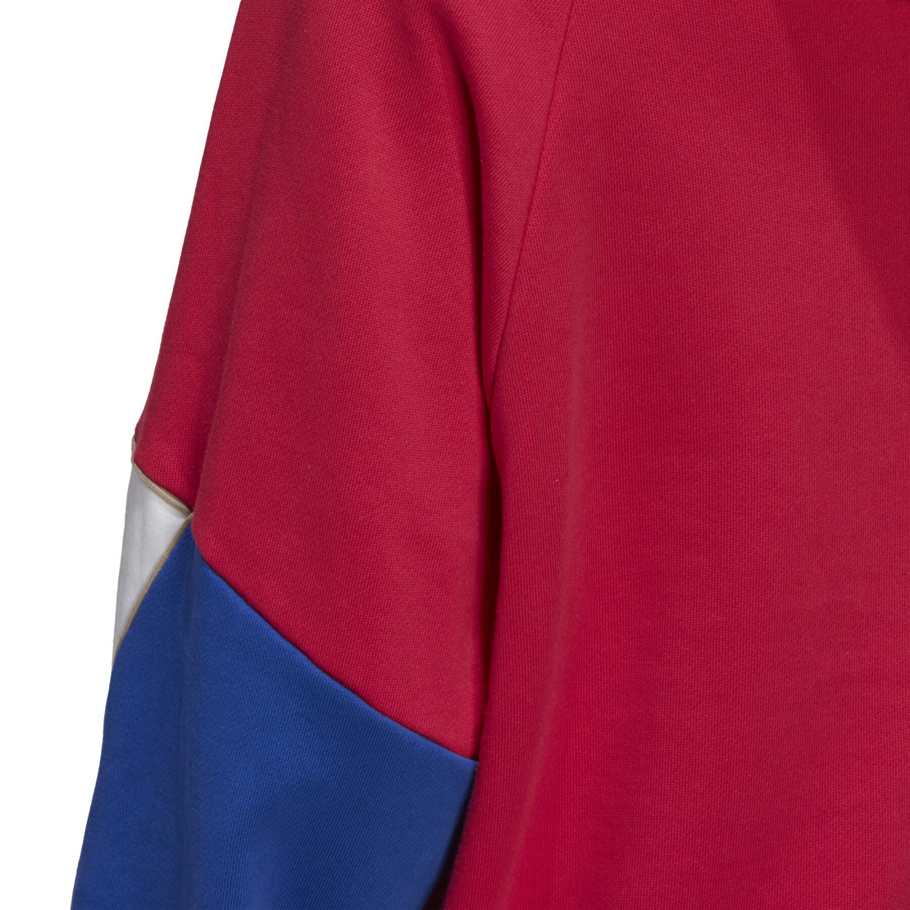 Sudadera con capucha adidas Originals Big Trefoil Outline Colorblock