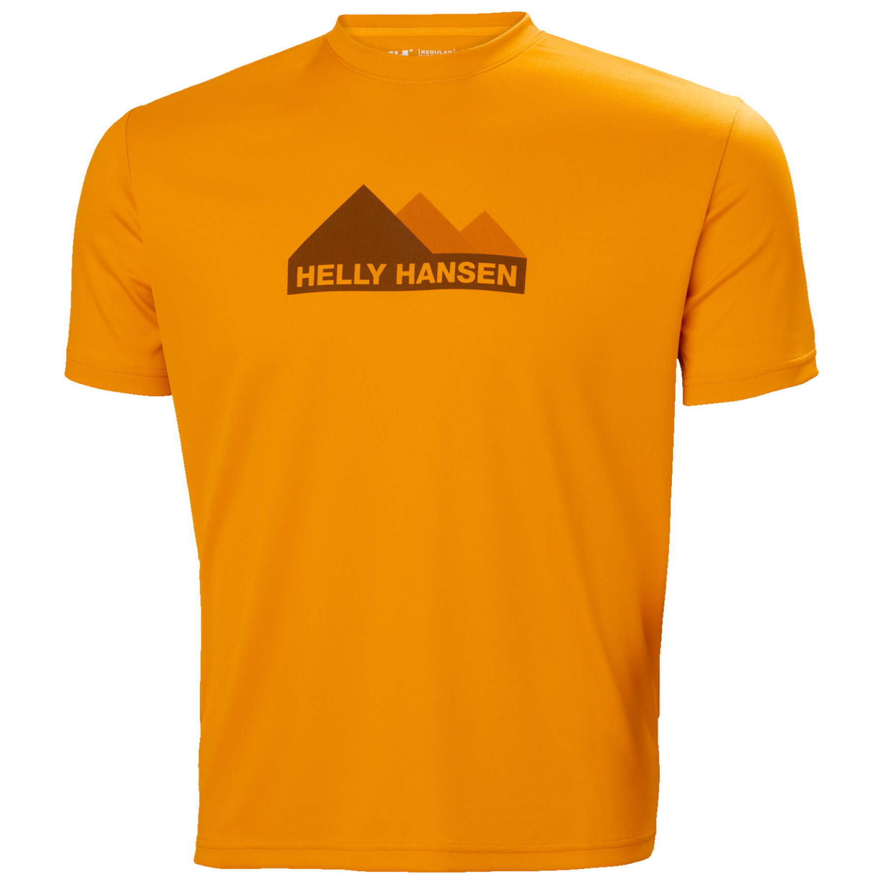 Camiseta Helly Hansen hh tech graphique