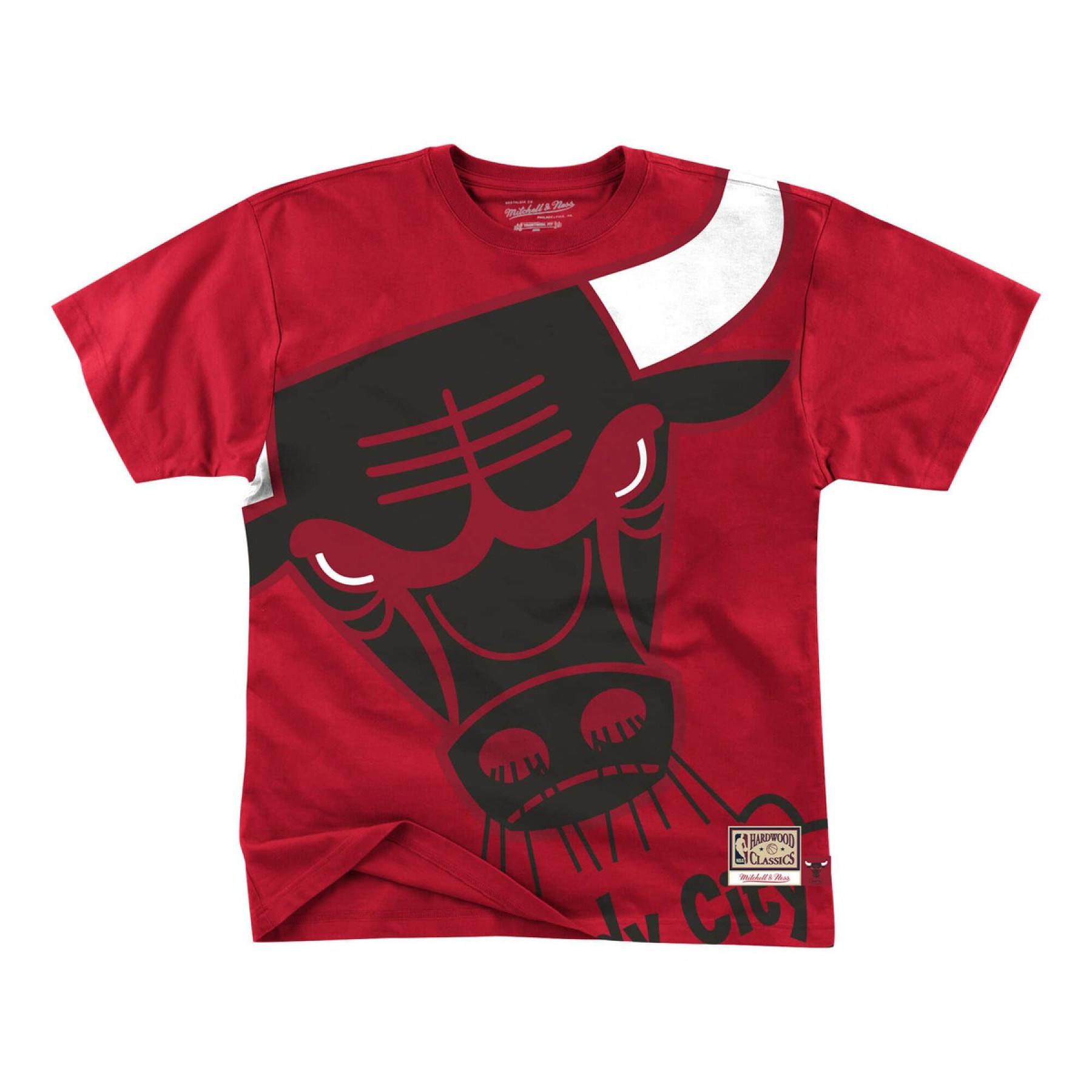 Camiseta Chicago Bulls big face bulls