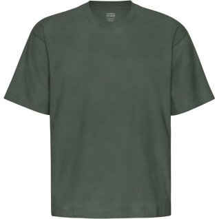 Camiseta oversize Colorful Standard Organic Midnight Forest