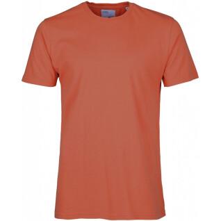 Camiseta Colorful Standard Classic Organic dark amber