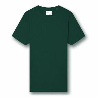Camiseta Colorful Standard Classic Organic emerald green