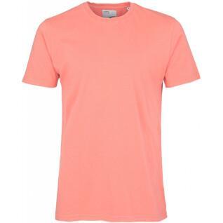 Camiseta Colorful Standard Classic Organic bright coral