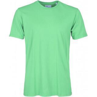 Camiseta Colorful Standard Classic Organic spring green