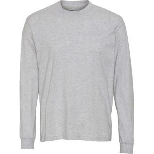 Camiseta de manga larga Colorful Standard Organic oversized heather grey