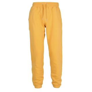 Pantalón de jogging Colorful Standard amarillo tostado