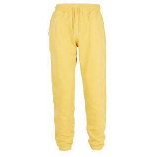 Pantalón de jogging Colorful Standard amarillo limón