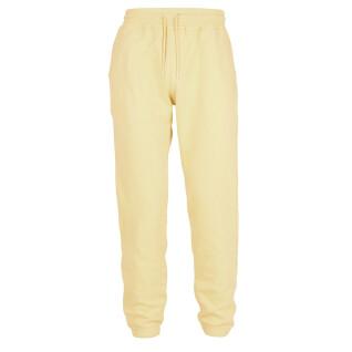 Pantalón de jogging Colorful Standard amarillo