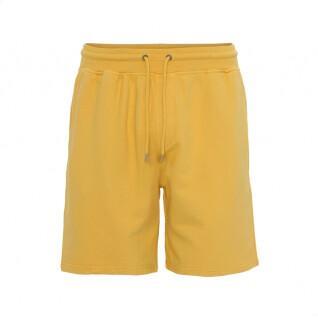 Pantalón corto Colorful Standard Classic Organic burned yellow