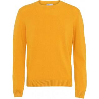 Jersey de lana con cuello redondo Colorful Standard Classic Merino burned yellow