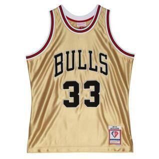 CamisetaChicago Bulls