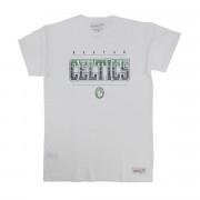 Camiseta Boston Celtics private school team