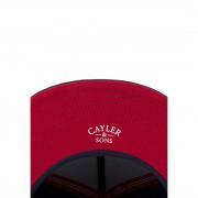 Icono de Cayler Cap&Sons basic Wetcoat