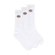 Calcetines Dickies Valley Grove Embroidered