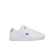 Formadores Lacoste Carnaby Bl