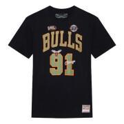 Camiseta Chicago Bulls NBA Script N&n Bulls Dennis Rodman