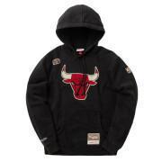 Sudadera con capucha Chicago Bulls NBA Team Logo
