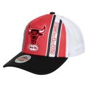 Gorra Trucker Chicago Bulls Retro HWC