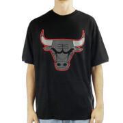 Camiseta Chicago Bulls OS Outline Mesh