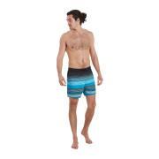 Pantalones cortos de baño Speedo Eco Placem Leisure 16